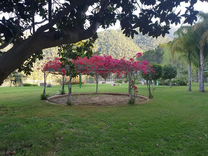 Villa Montgrau Llano de Gorra ภายนอก รูปภาพ